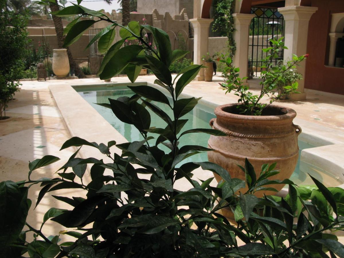 Riad Chant D'Etoiles Tadighoust El Hara Exterior photo