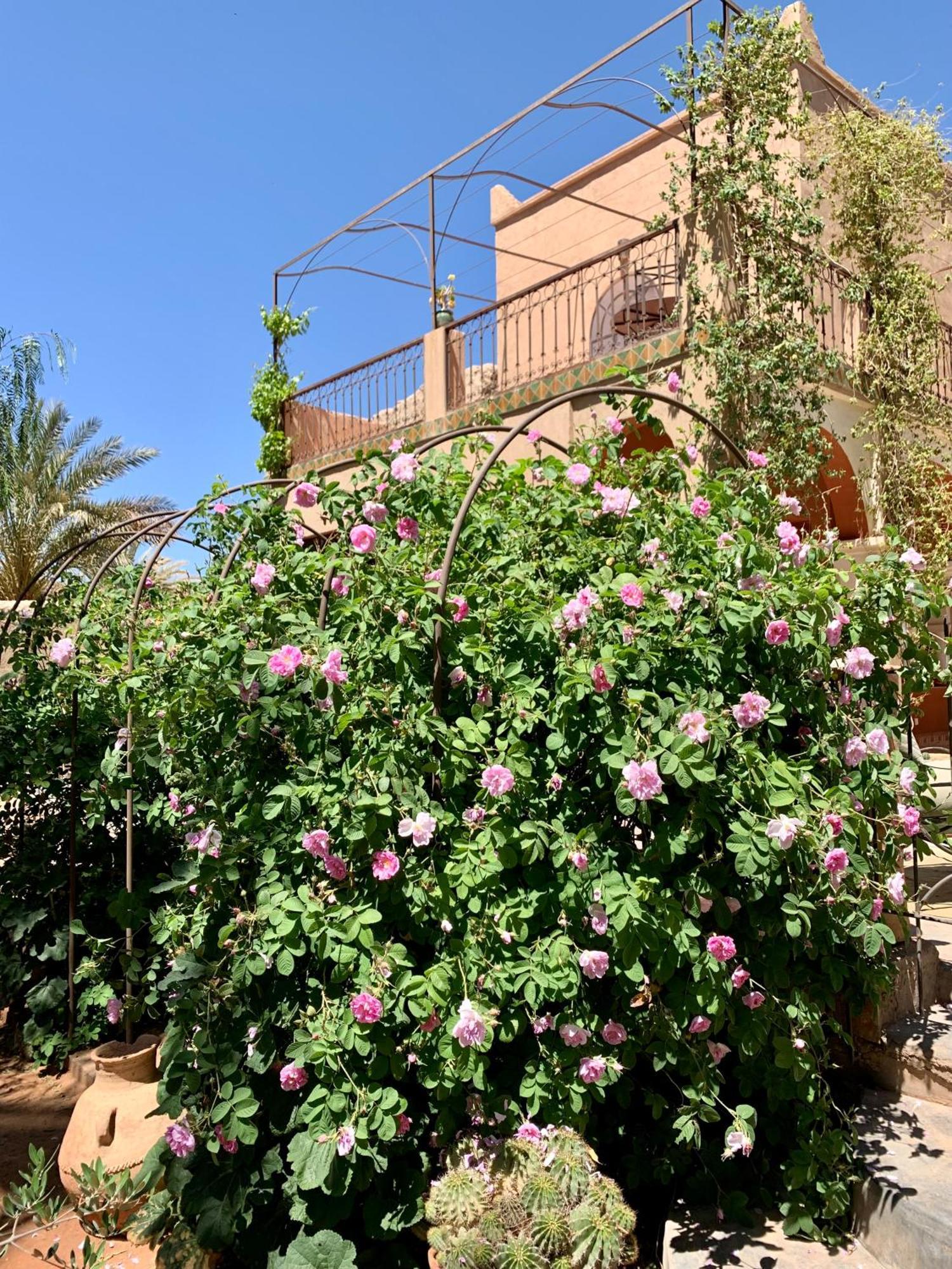 Riad Chant D'Etoiles Tadighoust El Hara Exterior photo